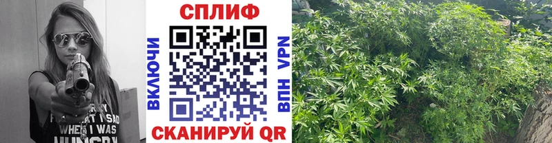 Купить закладку МАРИХУАНА  МЕФ  COCAIN  АМФ  Гашиш  СК  Козловка