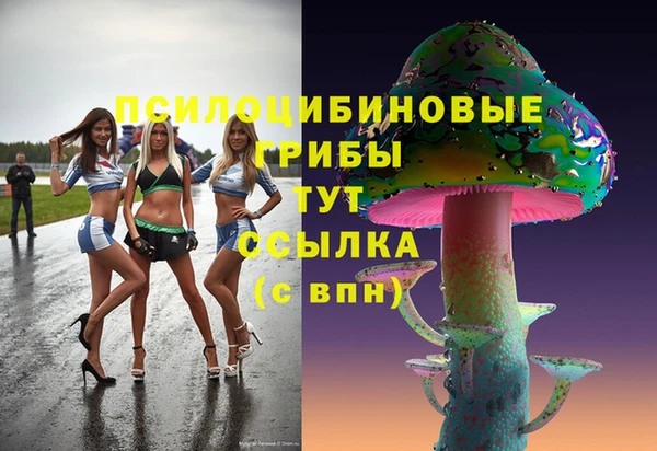 гидра Верхний Тагил