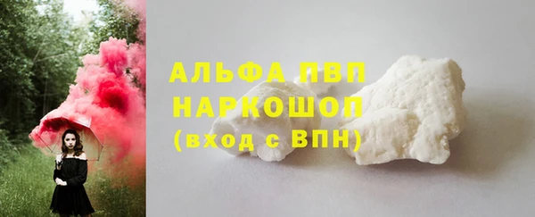 гидра Верхний Тагил