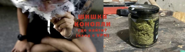 гидра Верхний Тагил