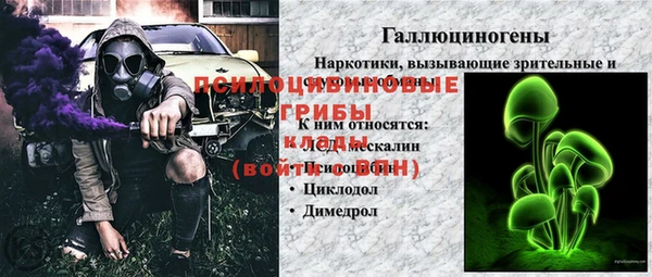 гидра Верхний Тагил