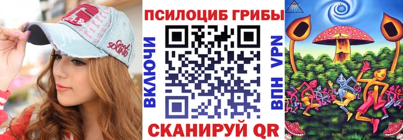Псилоцибиновые грибы GOLDEN TEACHER  Купить закладки  Козловка 